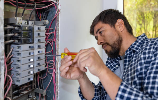Best Residential Electrician Services  in Elkins, WV